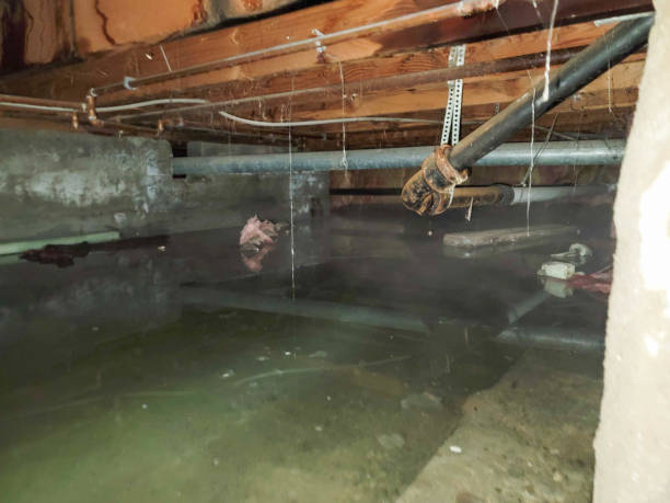 Farmington, UT Water damage restoration Company